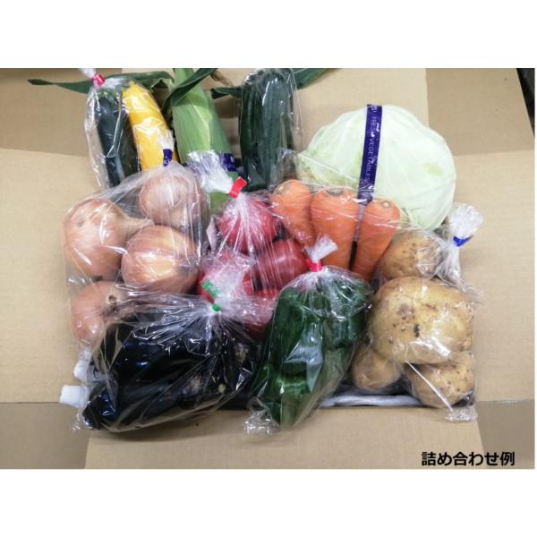 商品発送元：マルシェ梨北７〜９品目フード・菓子 店長がおすすめする旬の野菜詰め合わせセットです。直売所へ出荷された野菜をその日のうちに箱詰めしてお届けします！傷が少しあるもの・形が少し悪いもの・大きさが不揃いなものなどありますが品質には問題...