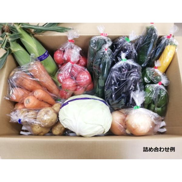 商品発送元：マルシェ梨北１０〜１３品目フード・菓子 店長がおすすめする旬の野菜詰め合わせセットです。直売所へ出荷された野菜をその日のうちに箱詰めしてお届けします！傷が少しあるもの・形が少し悪いもの・大きさが不揃いなものなどありますが品質には...