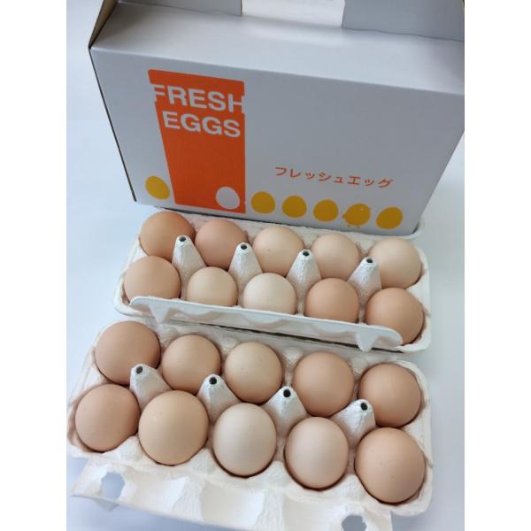 商品発送元：逸品 おとりよせやさとのたまご20個(10個1パック×2)【化粧箱入り】　フード・菓子内容量　：やさとのたまご20個(10個1パック×2)【化粧箱入り】■注文からお届けまでの期間:お申込日から３〜１０日程度■賞味期限：１４日間程...
