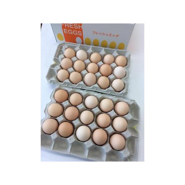 商品発送元：逸品 おとりよせやさとのたまご30個【化粧箱入り】フード・菓子内容量　：やさとのたまご30個【化粧箱入り】■注文からお届けまでの期間:お申込日から３〜１０日程度■賞味期限：１４日間程度■配送：冷蔵