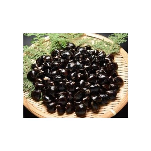 商品発送元：逸品 おとりよせ茨城県涸沼　高級しじみ【冷凍】500ｇ×3パックフード・菓子別名「涸沼の黒真珠」とも呼ばれる「ひぬまやまとしじみ」。その濃厚な味わいとプリプリとした食感をぜひお試しください。■内容量　：500ｇ×３パック■注文か...