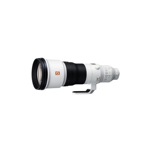 SONY FE 600mm F4 GM OSSで極める超望遠撮影