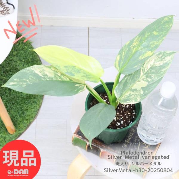 itempost_1-shoperan-9793