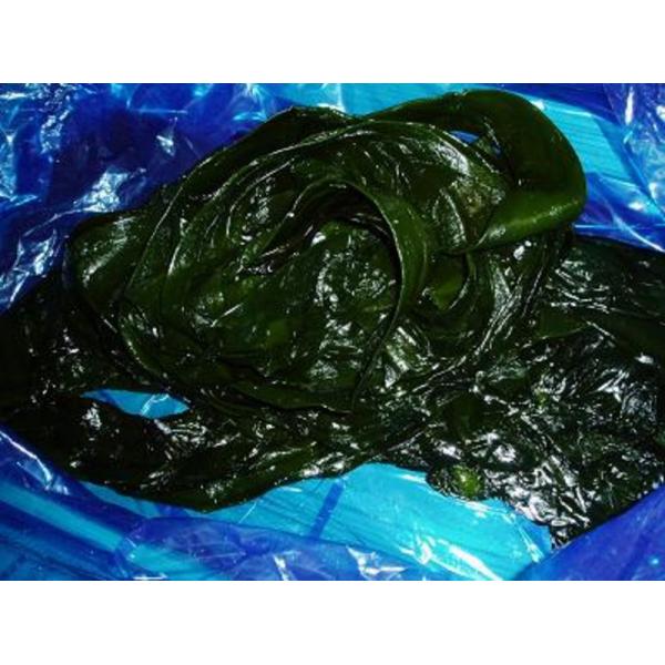 商品発送元：塩釜仲卸市場　東商店フード・菓子簡単調理！三陸の栄養豊かな海で育った塩昆布です。30分位の塩抜きで煮物にすぐ使える塩蔵ボイル昆布で近年需要が増えております。長期冷凍保存も可能！