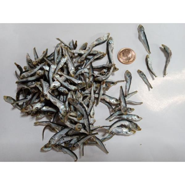 商品発送元：塩釜仲卸市場　東商店フード・菓子長崎県九十九島こさざ産の平子（マイワシ）煮干しです。約３〜５ｃｍサイズなので出汁はもちろん食べても十分美味しく召し上げれます(*^^*)フライパンでからから炙りすればカリッとなってさらに美味(*^...