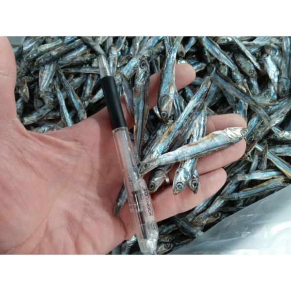 商品発送元：塩釜仲卸市場　東商店フード・菓子お正月に欠かせない田作りです。6~7?大きさも丁度よいかと思います(*^^*)　