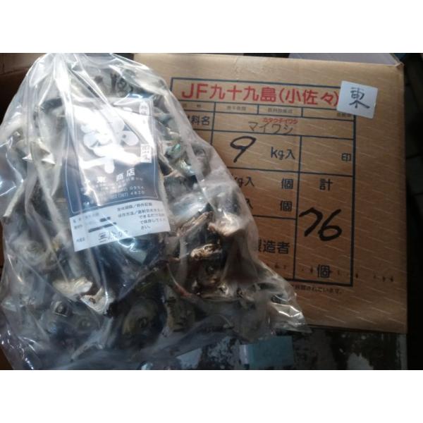 商品発送元：塩釜仲卸市場　東商店フード・菓子長崎で水揚げされたコロッと太った比較的大きなサイズ（約13?）マイワシ”平子”の煮干しです。長崎加工特有の無添加製法で仕上げた平子（マイワシ）煮干しで、若干の脂はありますがこの程度あれば価格もお値...