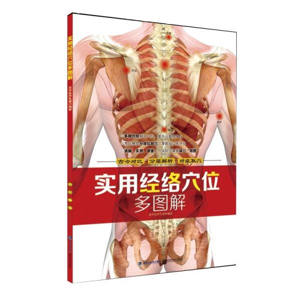商品発送元：新華書城本・雑誌・コミック原稿はツボ体表面位置特定法。14個の子午線点と外部ツボの位置と処理、および共通点を選択するための指針を紹介するグラフィック比較法である。この本の特徴は全身の経穴を分析するために「4マップ」法を使用するこ...
