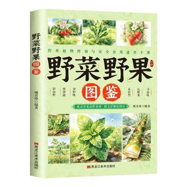 野菜野果図鑑　中国語書籍 / 野菜野果图鉴