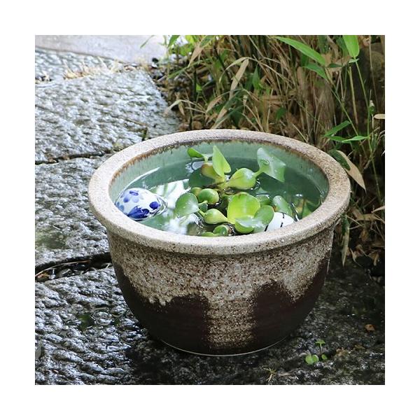 信楽焼10号灰流し睡蓮鉢で和の癒し空間