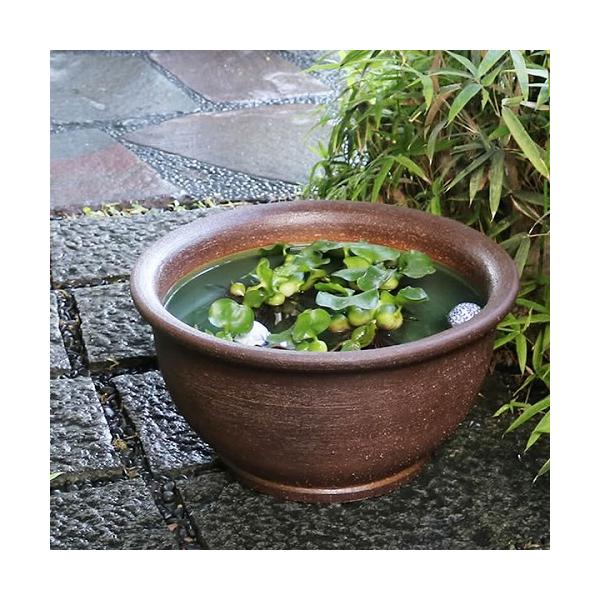 信楽焼18号ケズリ鈴型水鉢で和の癒し空間