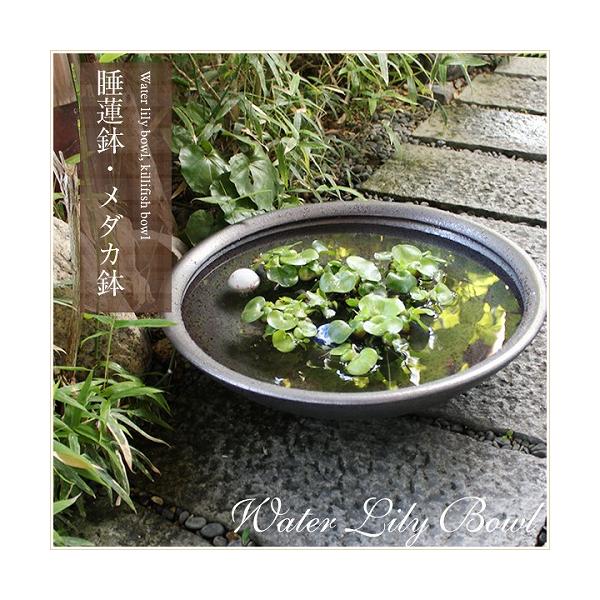 信楽焼20号銀彩水鉢の魅力と使い方完全ガイド