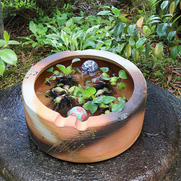 火色切立水鉢［su-0236］で楽しむ和風水辺インテリア