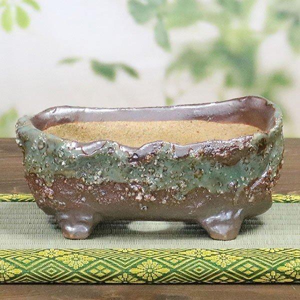 信楽焼手づくり山草鉢 奥田康人作の魅力と選び方