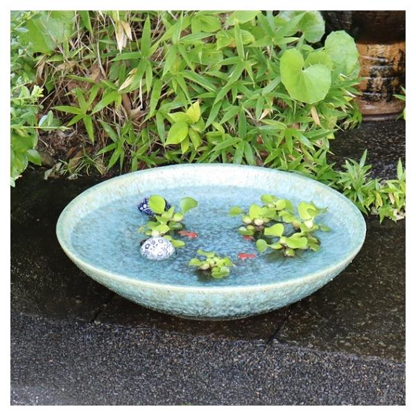 18号緑古信楽浅型水鉢で和の癒し空間を楽しむ