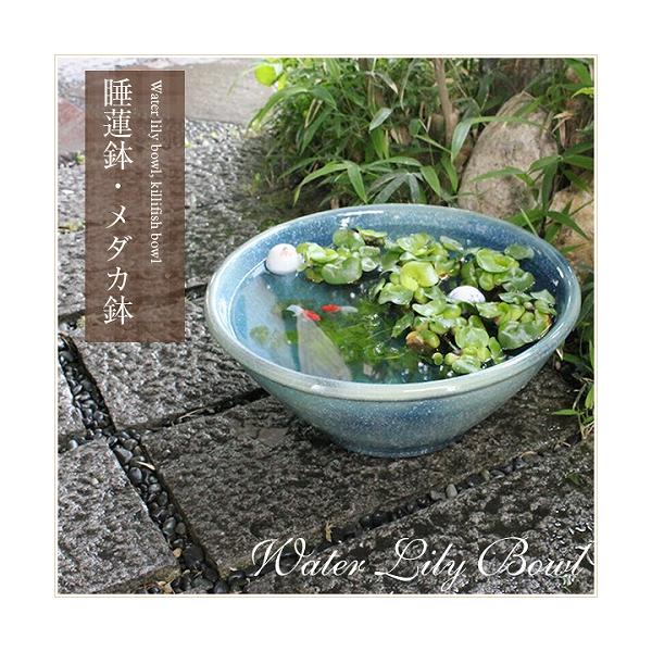 信楽焼16号ブルーガラス水鉢の魅力と使い方