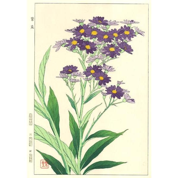 F039 シオン 花版画 Flower Woodcut Michaelmas Daisy Buyee Buyee Japanese Proxy Service Buy From Japan Bot Online
