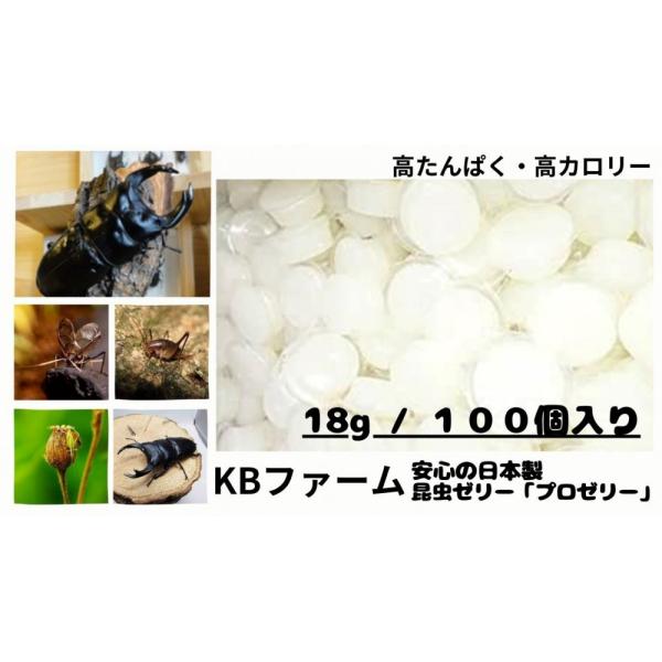 国産プロゼリー1500個KBファームカブトムシ　クワガタinsect jelly Amazon | KBファーム プロゼリー(16g 100個入り) 高たんぱく