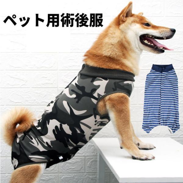  p㕞 ̎q j̎q D  p㕞 IX X r h~ pEGA Lk 畆  ی ^ ^ ^  ybg GUxXJ[