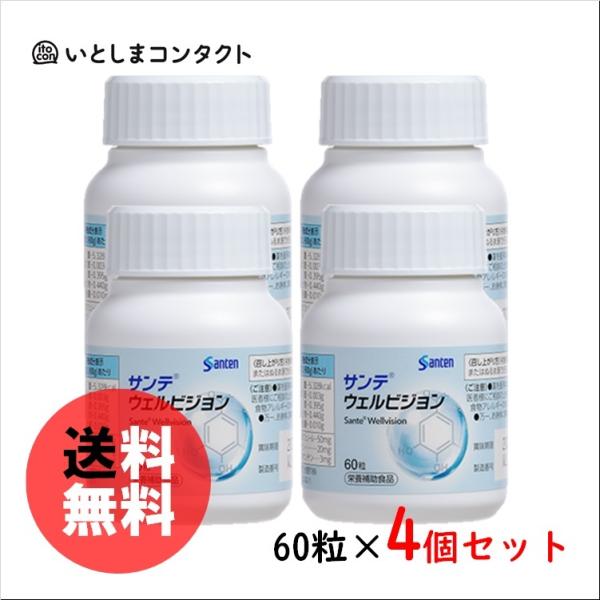参天製薬 サンテ ウェルビジョン 60粒(1ヵ月分)×4個