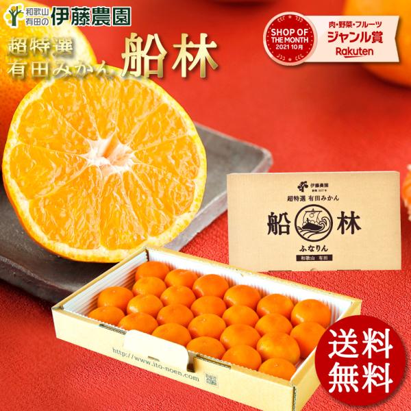 伊藤農園 みかん 送料無料 超特選 糖度12度以上 22〜24個入り S・M