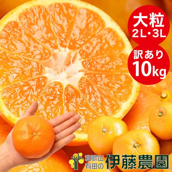 ■原産地名：和歌山県産■内容量：訳あり10ｋｇ■発送日について納期情報を参照ください■送料について　送料無料：ただし北海道・沖縄は770円別途かかります。■みかんは時期によって、薄青みかん（極早生）〜晩生（完熟）へと変わっていきます。発送時...