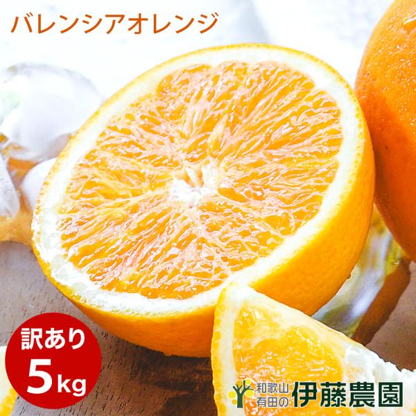 デコポン 2枚目