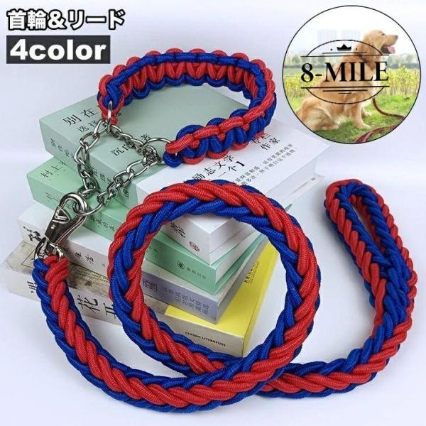送料無料 首輪 リード 2点セット 犬用 ペット用 ハーフチョーク リーシュ チェーン 牽引綱 シンプル お散歩 お出掛け ペット用品 ペットグッズ 犬 わんこ dog