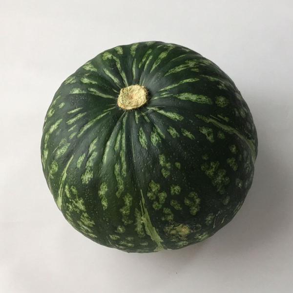 かぼちゃ 1個の人気商品 通販 価格比較 価格 Com