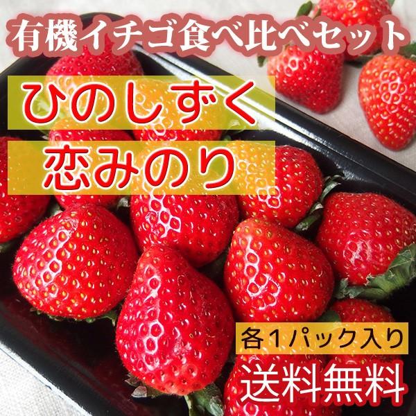 送料無料 有機イチゴ食べ比べセット ひのしずく 恋みのり 各1パック入り熊本県産 いちごの伊藤農園 通販 Yahoo ショッピング