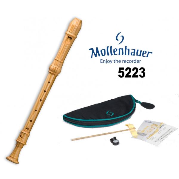 itogakki_mollenhaueralto5223