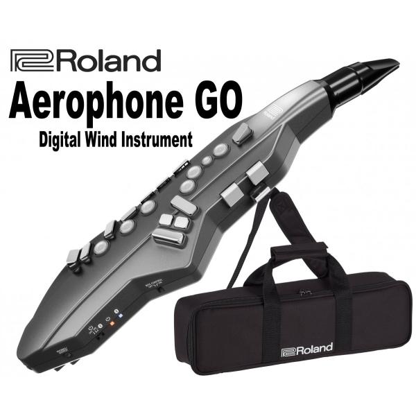 ローランド（Roland） ROLAND Aerophone GO AE-05 : 伊藤楽器 松戸店
