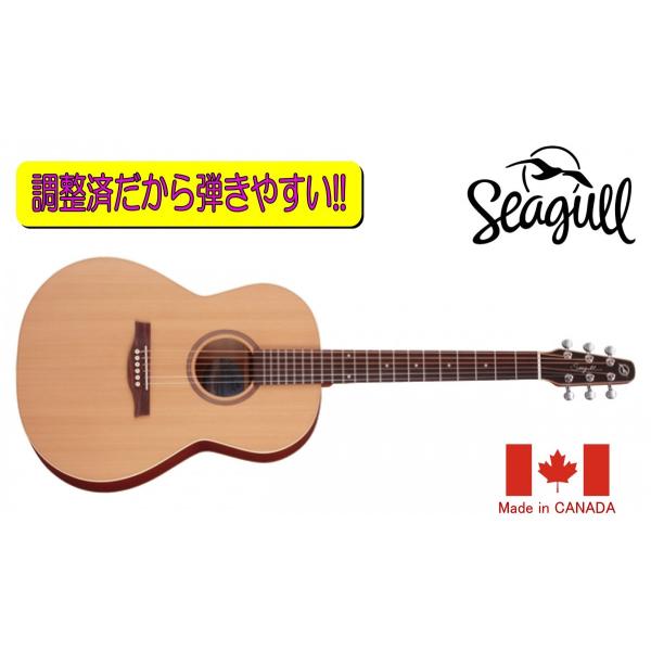 S6 SPRUCE」(*゜▽゜)ノ指弾き良し + ❤️弦高調整済「seagull