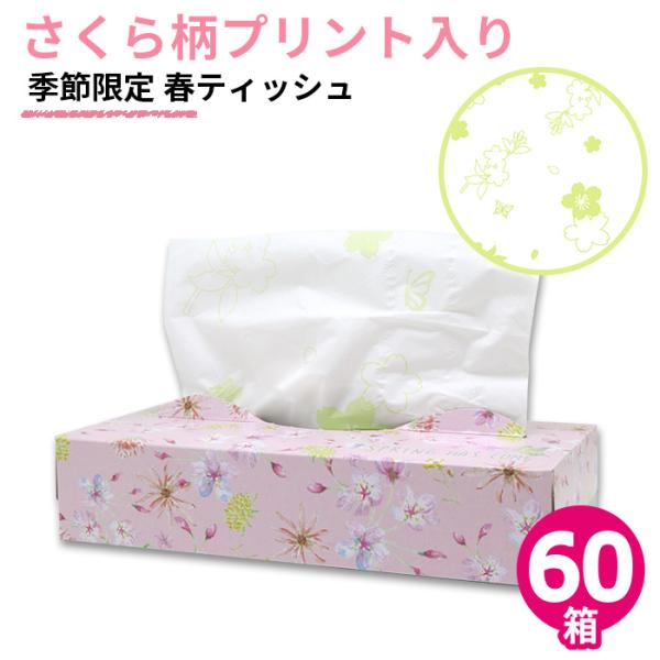 さくら様専用✳︎ハンドメイド✳︎トイプードル柄 ティッシュケース 母