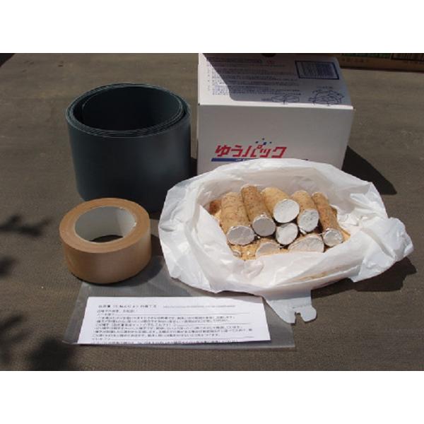 [Release date: March 25, 2026]※ヤフー支店でのご予約分は発売日（3/25）前後の商品発送になります。より遅いタイミングでのご入手をご希望の場合、商品説明２のリンクから本店サイトをご訪問、ご予約ください。（※本店...