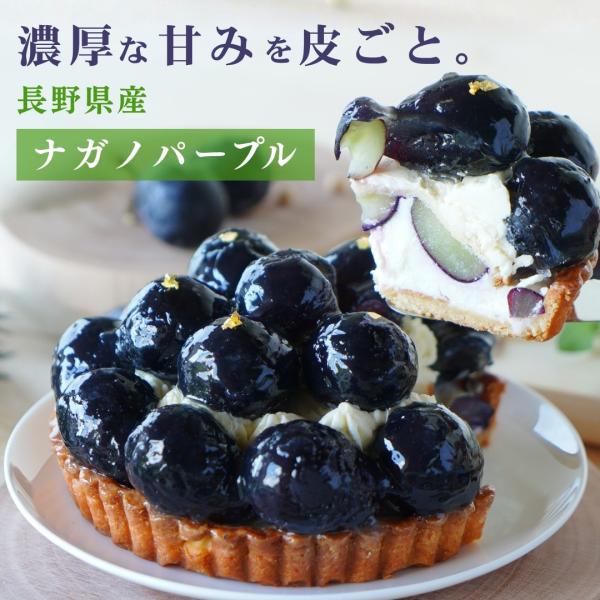 �y���ʌ���z���쌧�Y�i�K�m�p�[�v�� �t���[�c�^���g �O���e���t���[ �X�C�[�c �Ⓚ �������� �M�t�g �a���� �z�[���P�[�L ���a15cm 5�� �^���g ���i�摜