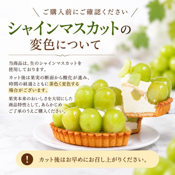 �y���Ԍ���z���쌧�Y�V���C���}�X�J�b�g �t���[�c�^���g �O���e���t���[ �X�C�[�c �Ⓚ �������� �M�t�g �a���� �z�[���P�[�L ���a15cm 5�� ���i�摜4