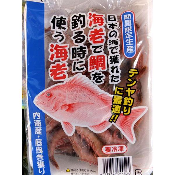 浜市 日本の海で獲れた海老で鯛を釣る時に使う海老 いとう釣具店 通販 Yahoo ショッピング