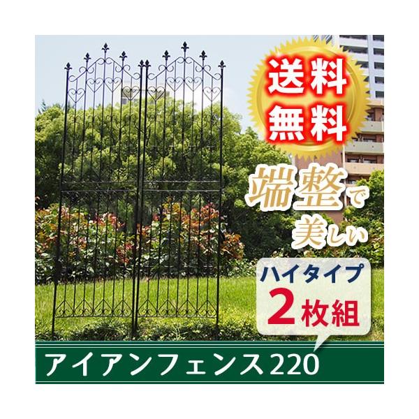 ACAtFXnC220 2g DNF220-2P