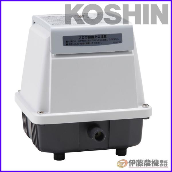 Hi 򉻑u|v ʂSOL AK-40 yKOSHIN/򉻑u/sz