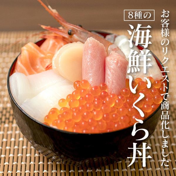 いくら丼 DSXZQO5553727030102024000000-1
