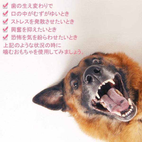 犬おもちゃ 噛むおもちゃ 18 Off Fohil 犬噛むおもちゃ 6個セット ストレス発散 ムズムズ解消 中型犬に適 歯磨き 清潔 耐久性 小型犬 丈夫
