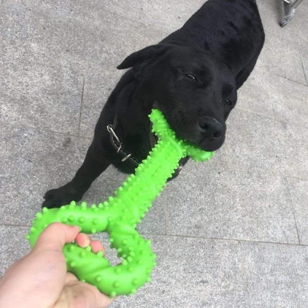 Loobani 犬用歯磨きおもちゃ 噛むおもちゃ 知育玩具 耐久性 丈夫 Tpr材質 大型 運動不足やストレス解消 水洗可能 国内正規総代理店アイテム 小型犬 中型犬