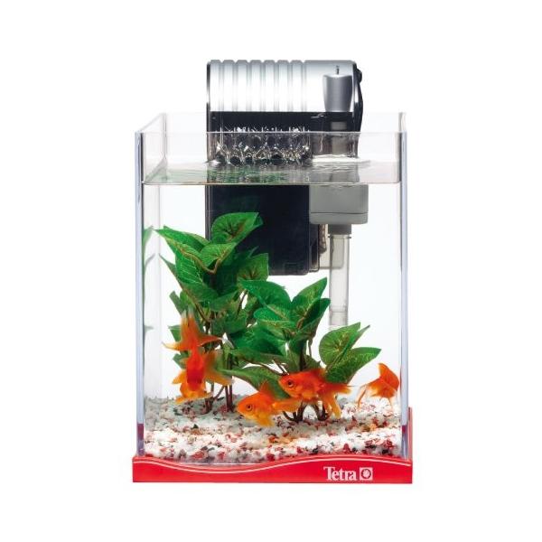テトラ 本店 Tetra Aw 18gf 金魚飼育セット