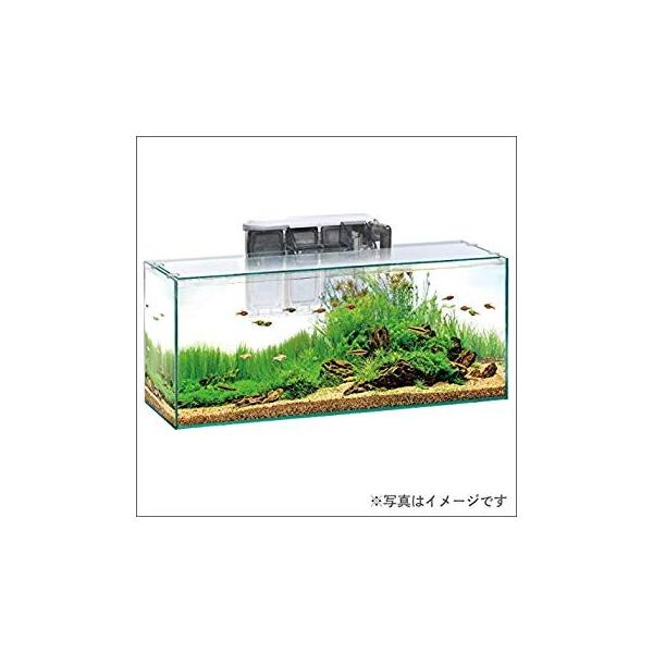 ジェックス グラステリアスリム600 6点セット水槽の価格と最安値 おすすめ通販を激安で