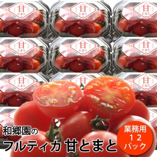 トマトフルティカコメント欄つくりました。 中玉トマト『フルティカ』の種まき | 植えないか？
