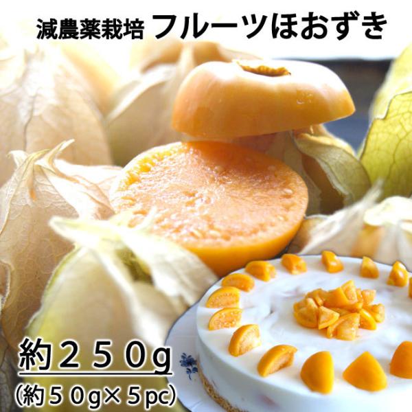 ネクスファームの 食用ほおずき フルーツほおずき 岩手花巻産 約250ｇ 1パック約50g 5パック 減農薬栽培 送料込 代引き不可 冷蔵便 0159 いっとうもの 通販 Yahoo ショッピング