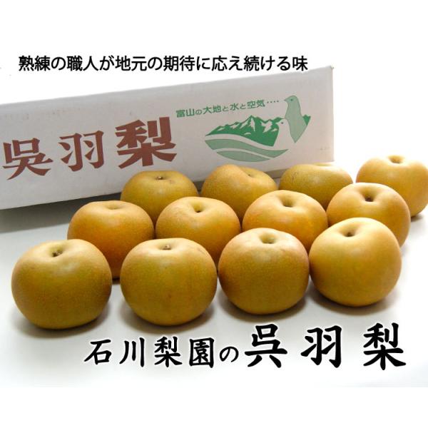 予約販売 石川梨園の 呉羽梨 富山県産 大玉１０ １２玉 約５kg 赤秀品 常温便 送料込 Buyee Buyee Japanese Proxy Service Buy From Japan Bot Online