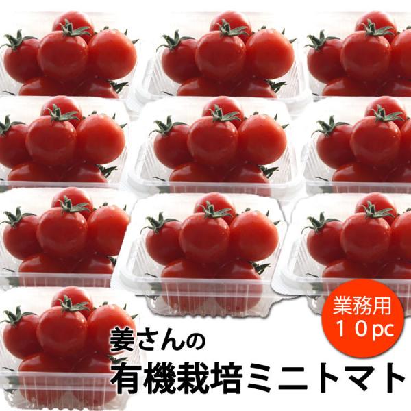 業務用】姜さんの「有機ミニトマト」 有機栽培 長野県産 約1kg(約100g×10パック入)*冷蔵便 *送料込 :20210810-0206:いっとうもの 通販 姜さんの「有機ミニトマト」 有機栽培 長野県産 約500g(約100g×5パック入)*冷蔵便 *送料込