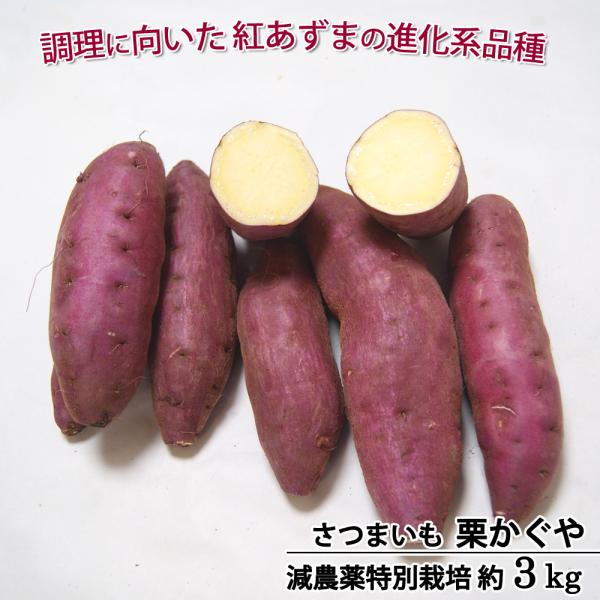 ittoumono_20251007-0220